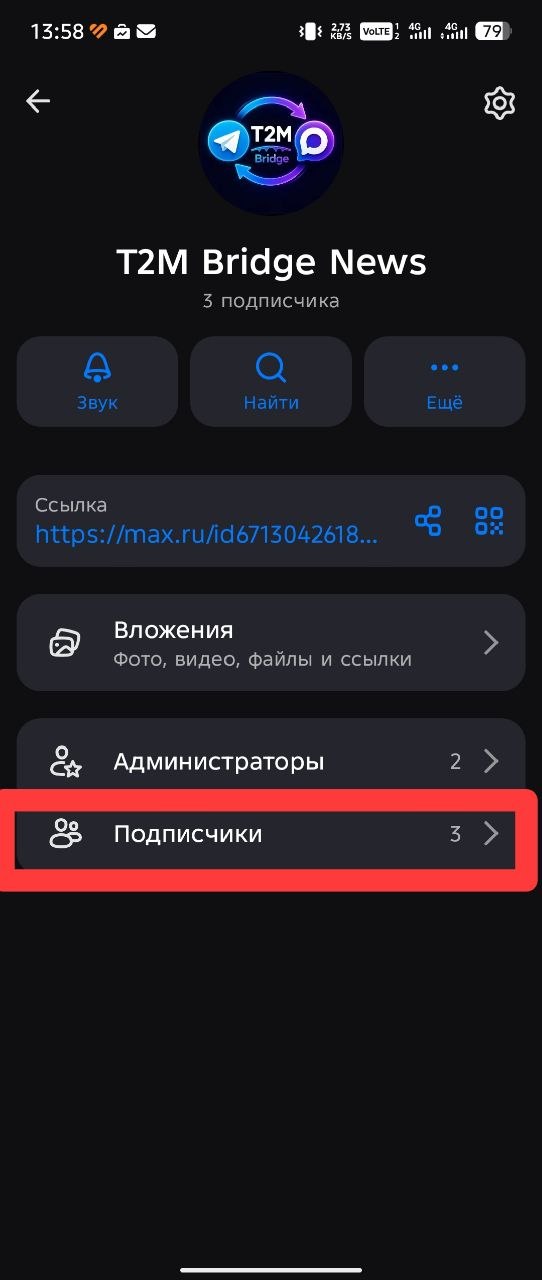 Настройки канала в MAX с выделенным разделом Подписчики